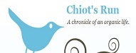 chiotsrun